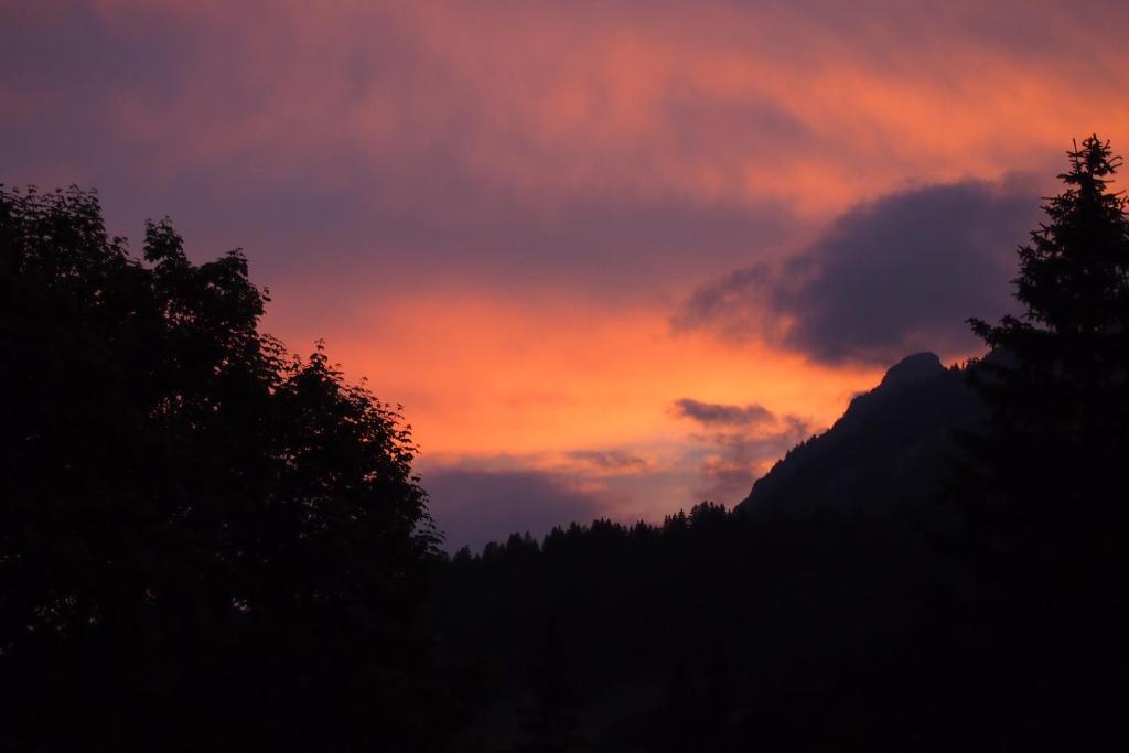 Haus Bergwelt Lägenhet Grän Exteriör bild