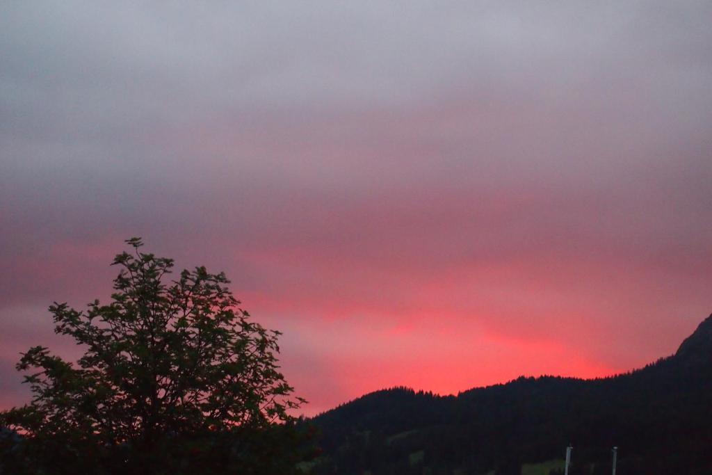 Haus Bergwelt Lägenhet Grän Exteriör bild